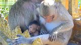 猴子藏在妈妈怀里，充满好奇的看着外面世界