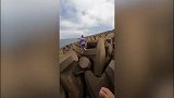 请勿模仿！澳洲小哥防波堤极限跑酷 复杂地形让人眼花缭乱