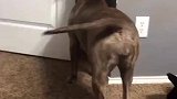 防御加强了，敌人也就不敢猖狂了