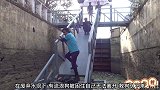 狗狗应该是不会游泳，被困不敢下水离开