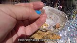 沙滩“巨型珍珠”遭疯抢，渔民急忙阻止赶紧放下，这不是珍珠