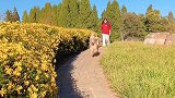 郭三驴带金毛百威宾利出来游山玩水，毛孩子都好开心啊！
