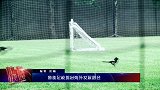 国足-17年-体育快评 中国的足球人才摇篮 鲁能足校发展历程-新闻