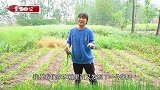 肘子这么做好吃又过瘾，原汁原味，香而不腻，超下饭