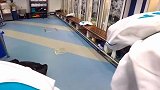 化身后勤部长 第一视角感受皇马更衣室
