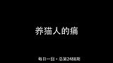 养猫人的痛你不懂，可能是这样的年度搞笑沙雕派对