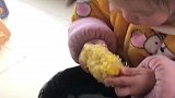 爸爸让萌宝给自己留一点玉米