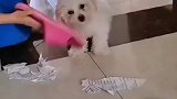 这个内容太有意思了，快点开看看吧