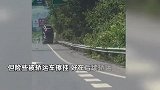 轿运车高速上遭遇“死亡摇摆”，司机极限操作逃过一劫：轮胎都甩爆好几个