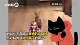 迷你钢铁人拿「一根叶子」帮逗猫　超嗨唱跳 主子雀跃狂噜超疗愈