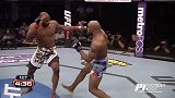 UFC-17年-UFC213自由格斗：罗梅罗vs斯塔克斯-专题