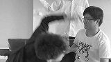 为什么受伤的总是我！
