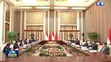独家视频丨习近平同印度尼西亚总统佐科会谈