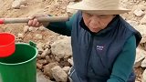老伴浇菜都不忘玩手机，她吸取点教训才行！