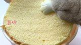 猫王：你以为这是一桶泡面？其实是一桶蛋糕会做饭的猫 泡面蛋糕