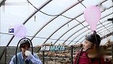 一起来PK爆红！岳云鹏吐槽任嘉伦：你以前没红过吗
