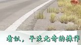 这操作帅呆了！