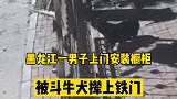 9月8日，黑龙江绥化，男子上门安装橱柜，恶犬扑出，被逼上铁门。犬 黑龙江