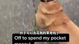 狗勾妈咪，我们去购物吧