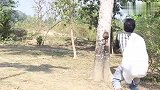 印度农村搞笑视频合集，把人装进麻袋里恶作剧，太拼了！