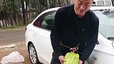 大哥种植一年的瓜，终于收获了，这么大的个头还是全村独一份！