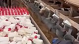 牛奶收集器需要手速快