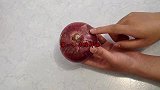 发芽洋葱你家有吗？我也是刚知道，再忙也抽空学学，真是厉害