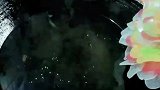 有的人看到的是花圈，我看到的却是五彩斑斓的莲花