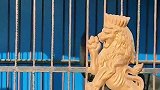 黑狼犬，犬如其名，黑得好纯粹