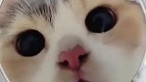 我想看你按一下那个红色的键
