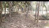 两小伙偶遇路人爬树，果断点火相助