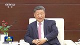 习近平会见岑浩辉