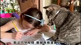 我居然信了朋友的鬼话，把这只乌鸦当成了鹦鹉