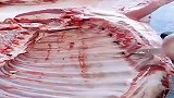 肉档屠夫展示了去骨绝技，网友表示排骨去这么干净亏了几个老婆吧