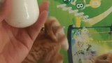 都这么大了，一听开饭了，还是戒不了那口奶！