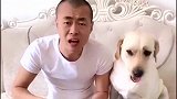 主人当面说狗狗长得丑，狗狗立马不高兴了，一言不合就开打