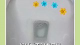 家庭必备马桶小花