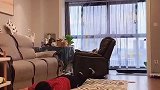 铺上地毯，家里都变高级起来啦家居好物 装修