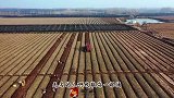 #视听中国 #第三届美好山东短视频大赛 一等奖：《越平凡 越不凡》青岛市即墨区融媒体中心
