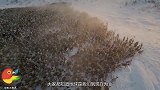 地球被高等文明暗中保护？专家：这两个天体或许就是铁证！