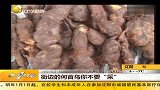 生活-街边的何首乌你不要“采”
