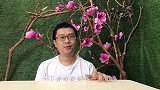 刚孵出来的鹦鹉雏鸟，突然间就没了，铲屎官的心碎了一地