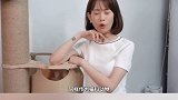 你知道猫跑起来的速度到底有多快嘛？？？原创者联盟计划