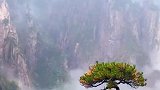宠辱不惊，看山间叶绿叶红，去留无意，望天空云卷云舒。