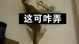 你说你没事爬那么高干嘛啊