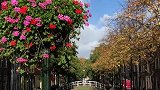 秋日里的荷兰小城