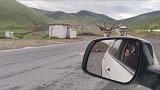 川藏线遇见鹿，一点都不怕陌生人
