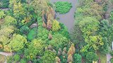 航拍衡阳市平湖公园，冬日秋韵，美若画家打翻的调色盘