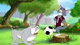 猫和老鼠：汤姆仗着狗狗够不到他，拿球打狗狗，真是太过分了