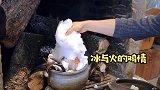 带你体验什么叫初雪炖的土鸡，这味道好极了